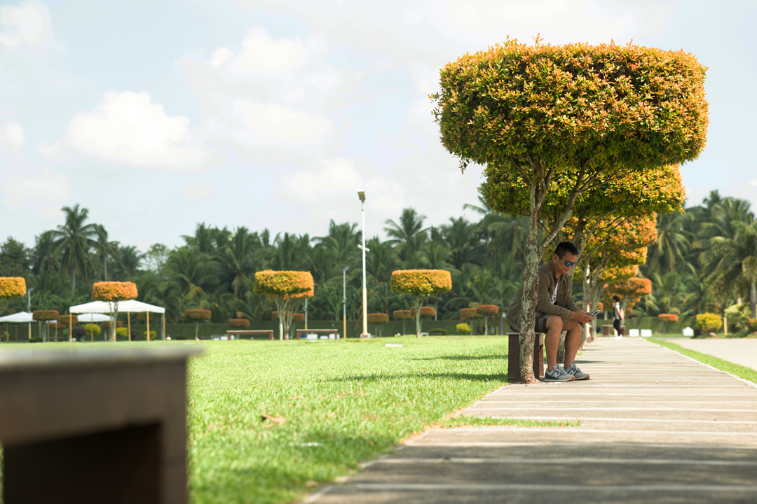 BENCHES