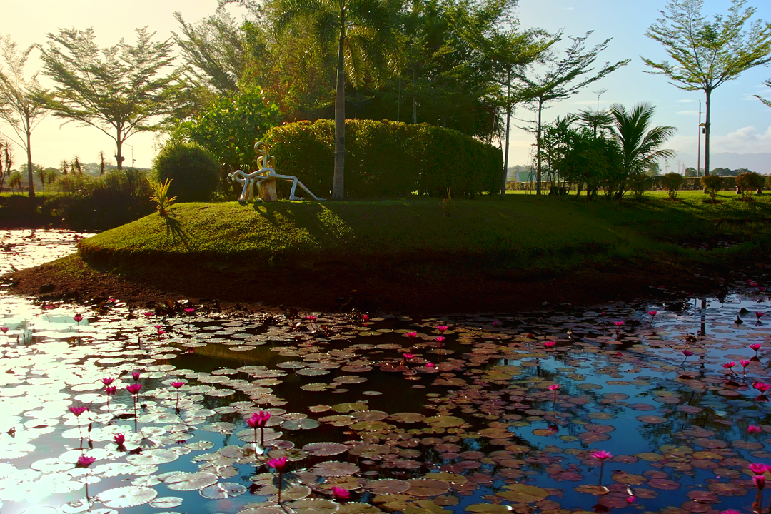 LAGOON