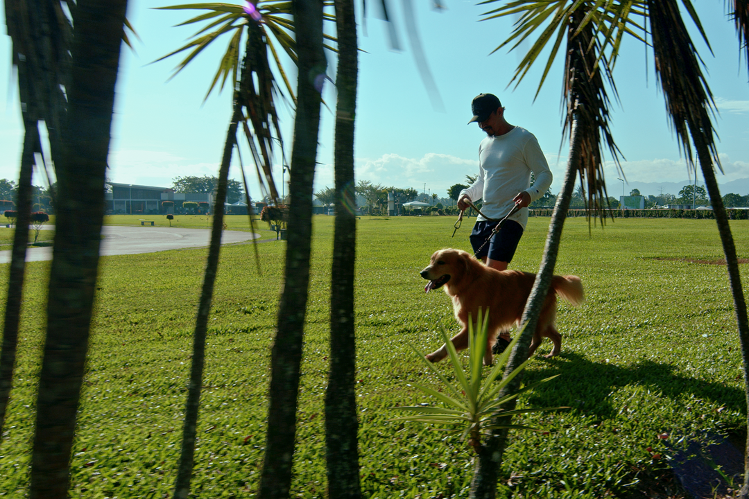 PET WALKING